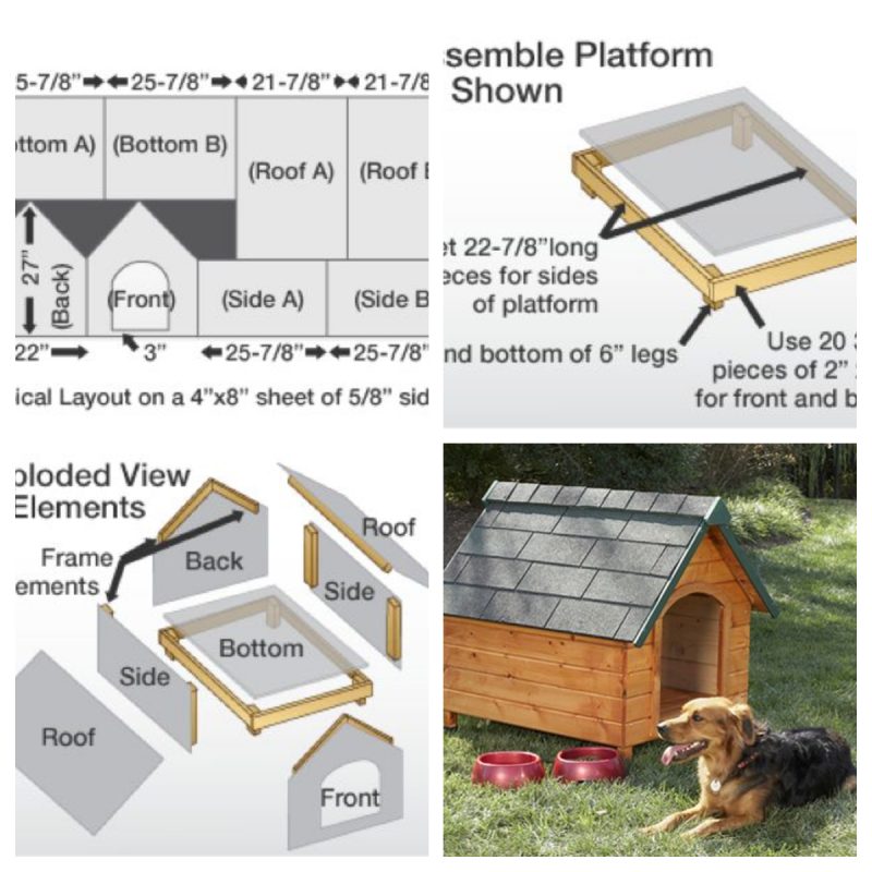 Do-it-yourself dog house: how to make and what you need to pay special attention to