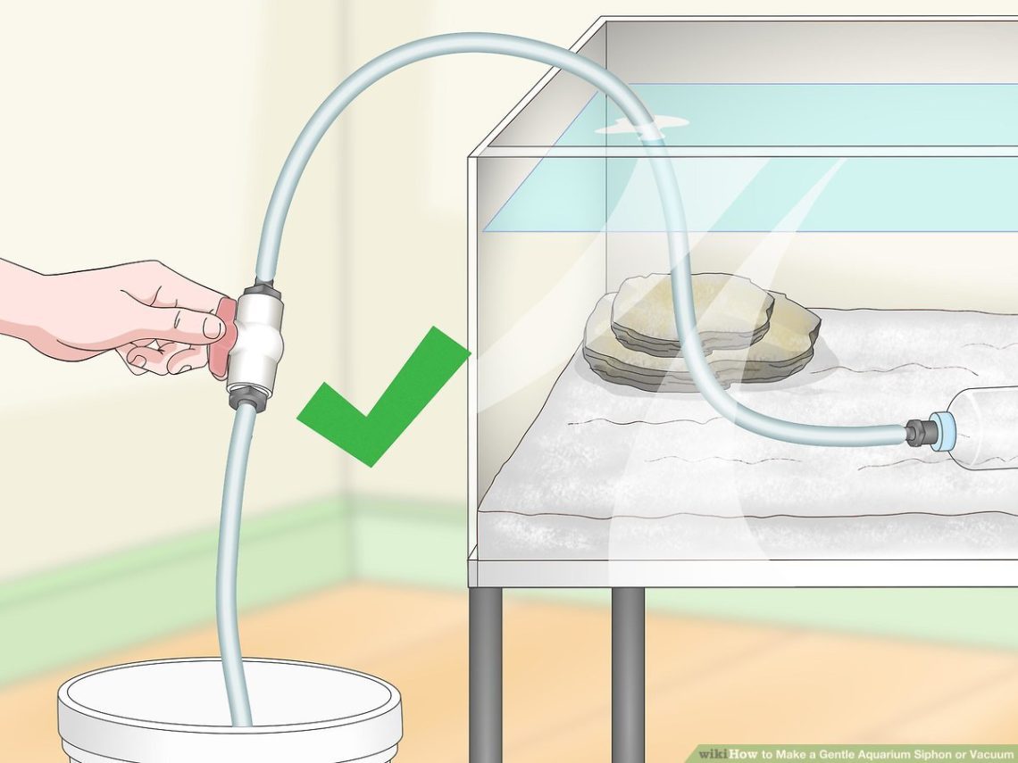 Do-it-yourself siphon for an aquarium, its types and method of manufacture