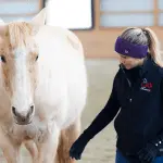 Does the horse annoy you under the horseback? Deal with it! (advice for beginners)