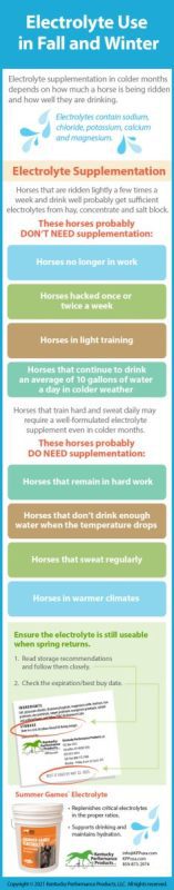 Does your horse need electrolytes?