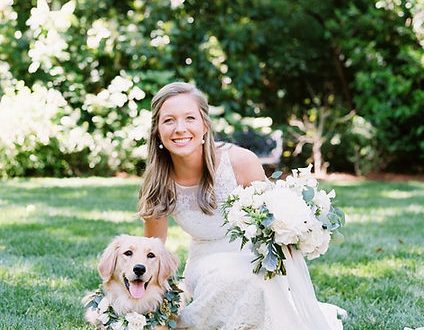 Dog at the wedding: tips for the big day