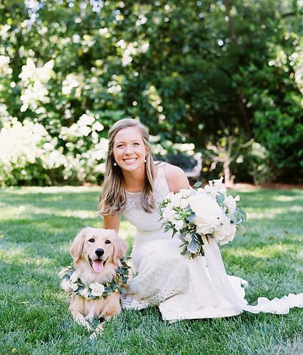 Dog at the wedding: tips for the big day