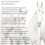 Don’t rely on sight – feel the horse!