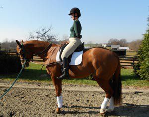 Dressage fit: Strive for perfection