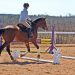 Exercises to Improve the Horse&#8217;s Jumping Style