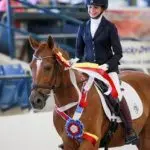 Dressage test: exercise “Crossing the street”