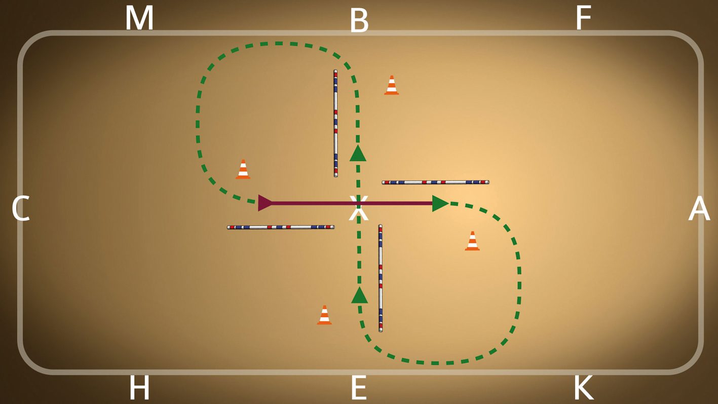 Dressage test: exercise &#8220;Crossing the street&#8221;