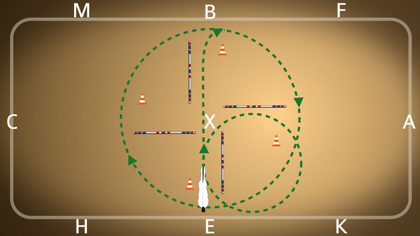 Dressage test: exercise &#8220;Crossing the street&#8221;