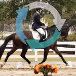 Dressage: the logic of the circle