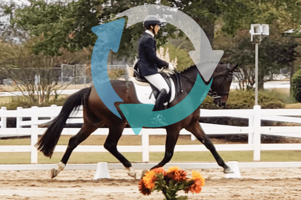 Dressage: the logic of the circle