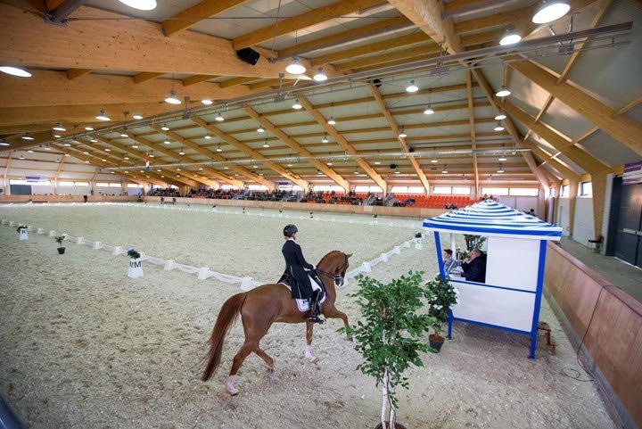 ​Dutch Training Secrets: Never Work Your Horse &#8220;Fast&#8221;