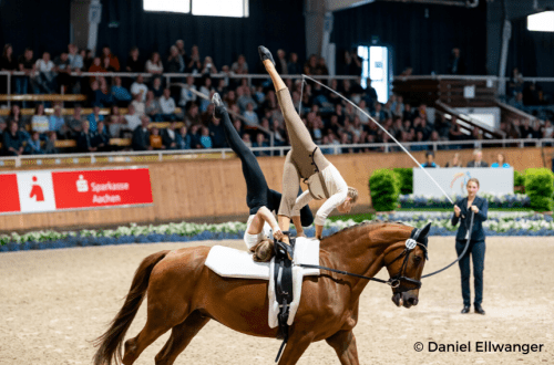 ​Dutch Training Secrets: Never Work Your Horse &#8220;Fast&#8221;