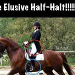 ​Easy Steps to Perfecting Half Halts