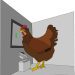 Orlovski chintzi tõugu kanad: produktiivsed omadused, kinnipidamistingimused ja aretus