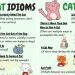 How to remove bad cat odor