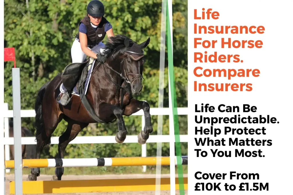 Equestrian insurance