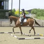 Exercise “Clock” – work on the canter (+ video)