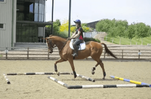 Exercise &#8220;Clock&#8221; &#8211; work on the canter (+ video)