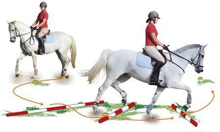 Exercises to Improve the Horse&#8217;s Jumping Style