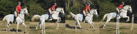 Exercises to Improve the Horse&#8217;s Jumping Style