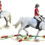 Exercises to Improve the Horse’s Jumping Style