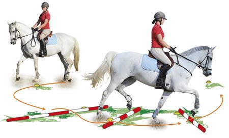 Exercises to Improve the Horse&#8217;s Jumping Style