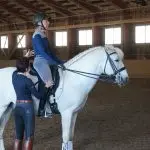 Finding harmony in training trot