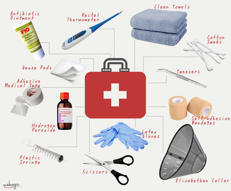 First aid kit for a cat