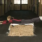 Fitness for riders: a couple of bales of hay, blankets and salt