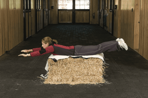 Fitness for riders: a couple of bales of hay, blankets and salt