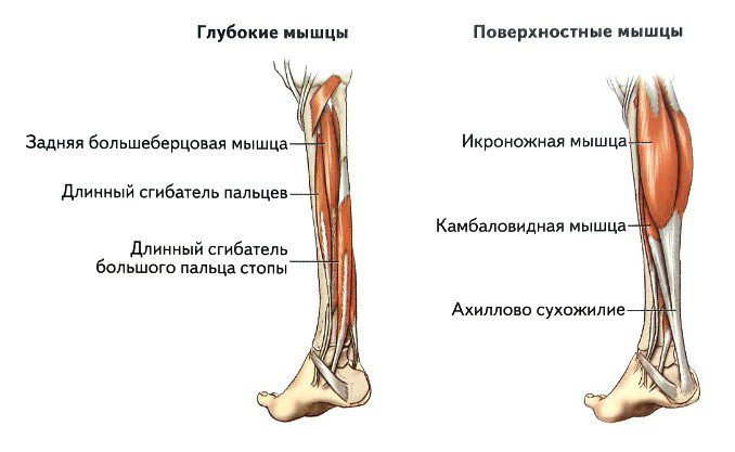 #FitnessForSaddle from Galina Chernaya: How to lower the heel down?