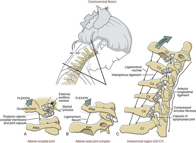 #FitnessForSaddle from Galina Chernaya: How to relax your shoulders and lower back