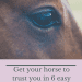 Three things a horse would like to tell you