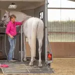 Five ways to load a horse into a horse carrier