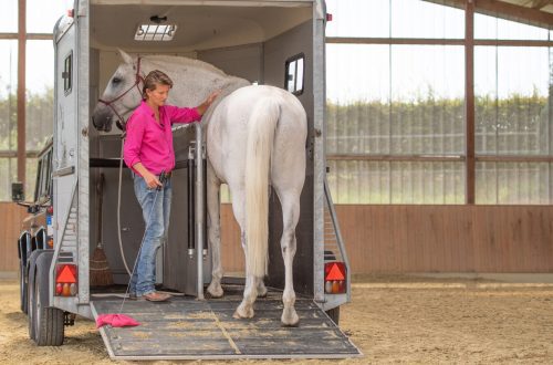 Five ways to load a horse into a horse carrier
