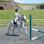 Fixing problems that occur during trot jumps