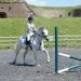 Seven Problems of the Horse &#8220;Under the Top&#8221; and How to Fix Them