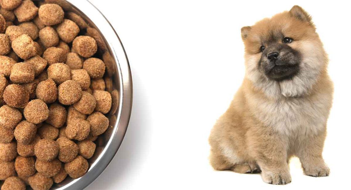 Food for chow chow dogs