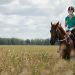 ​Three Exercises for Dressage Riders to Help Keep Your Heel Down