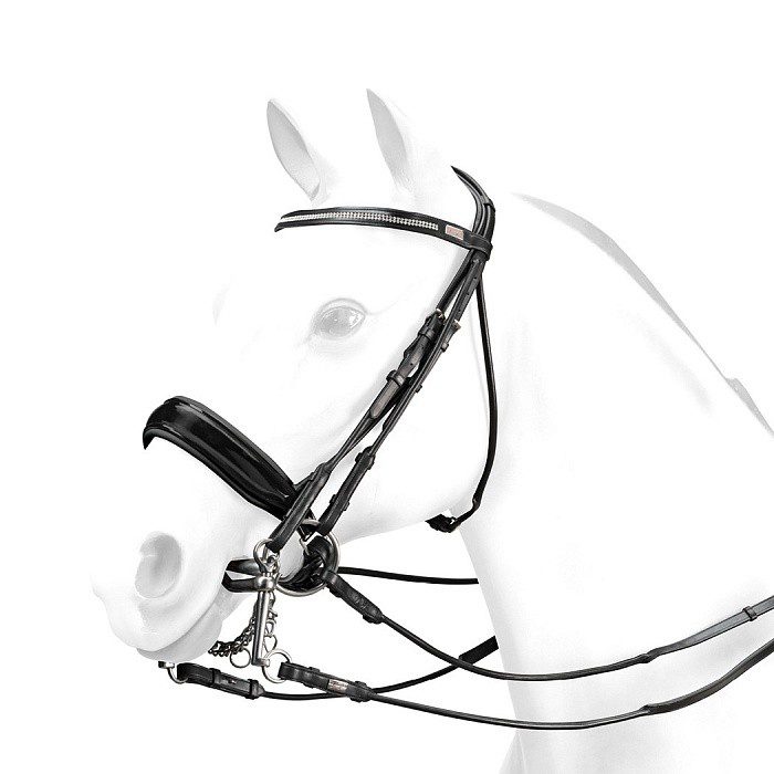 Getting to know the dressage headband