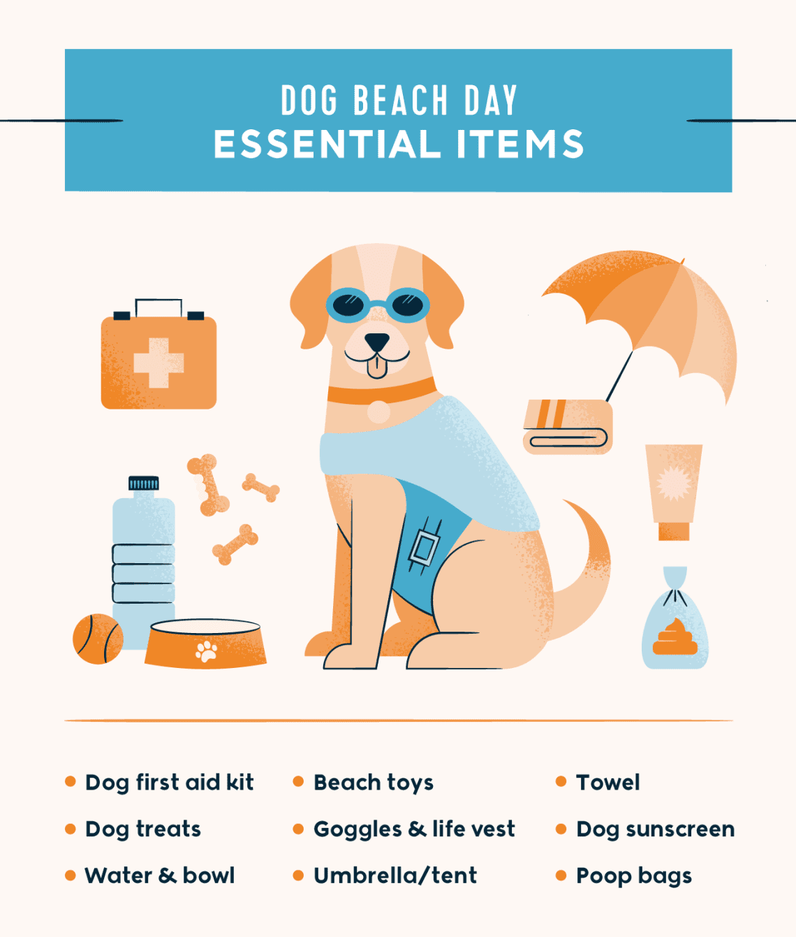 Going to the beach: how to prepare a dog