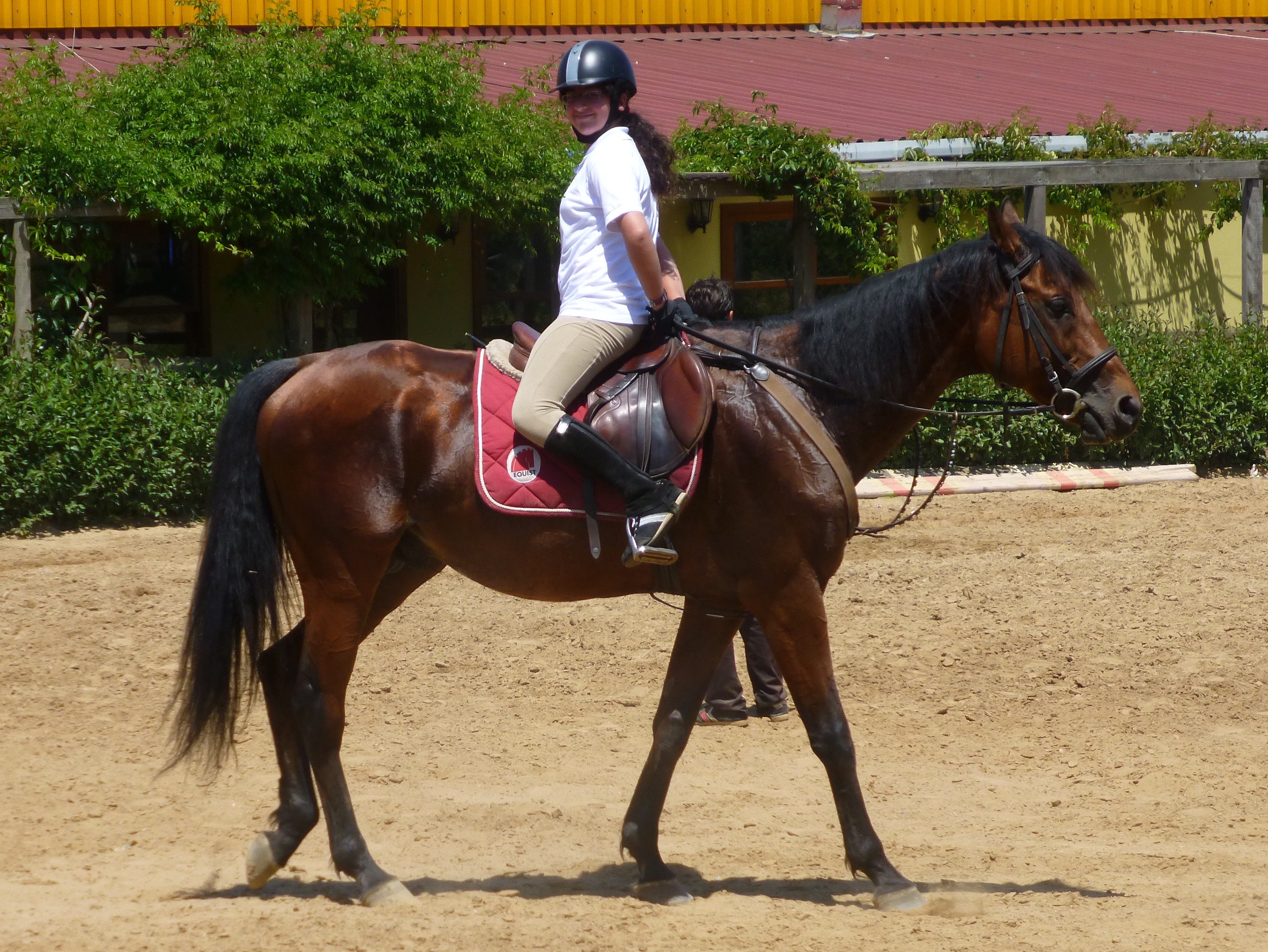 Gymnastics &#8211; awareness of yourself on a horse