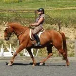 Gymnastics – awareness of yourself on a horse