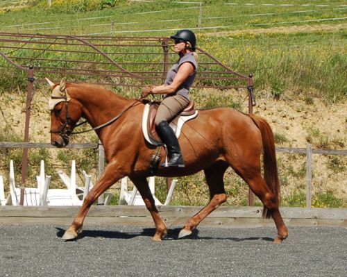 Gymnastics &#8211; awareness of yourself on a horse