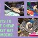 How to wean a domestic rat from biting: instructions