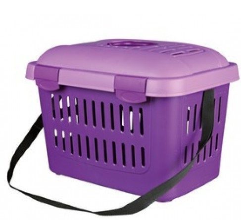 Hamster carrier and container, is it possible to transport a hamster in a train, car and plane