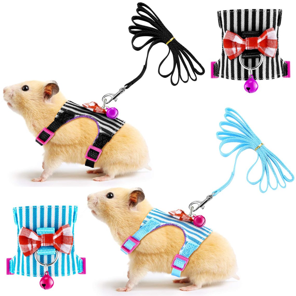Hamster lead, harness and collar &#8211; description and comparison