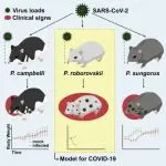 Hamster Roborovsky: maintenance, care, character, disease