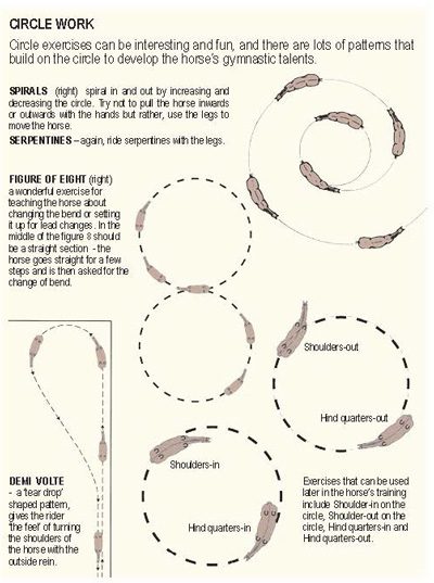 Helping the Rider: Circle Exercises