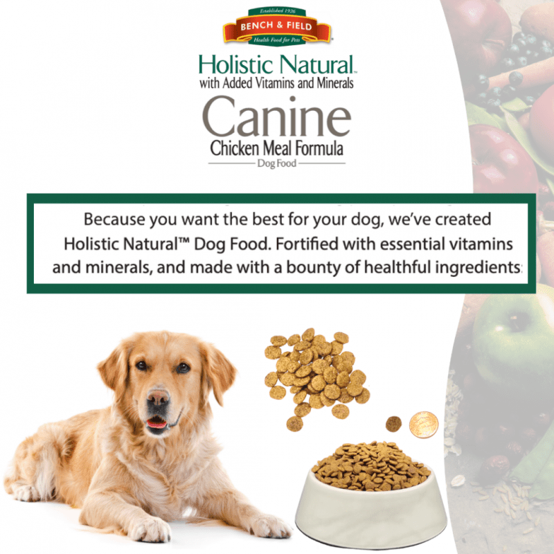 Holistic dog food and food made from natural ingredients